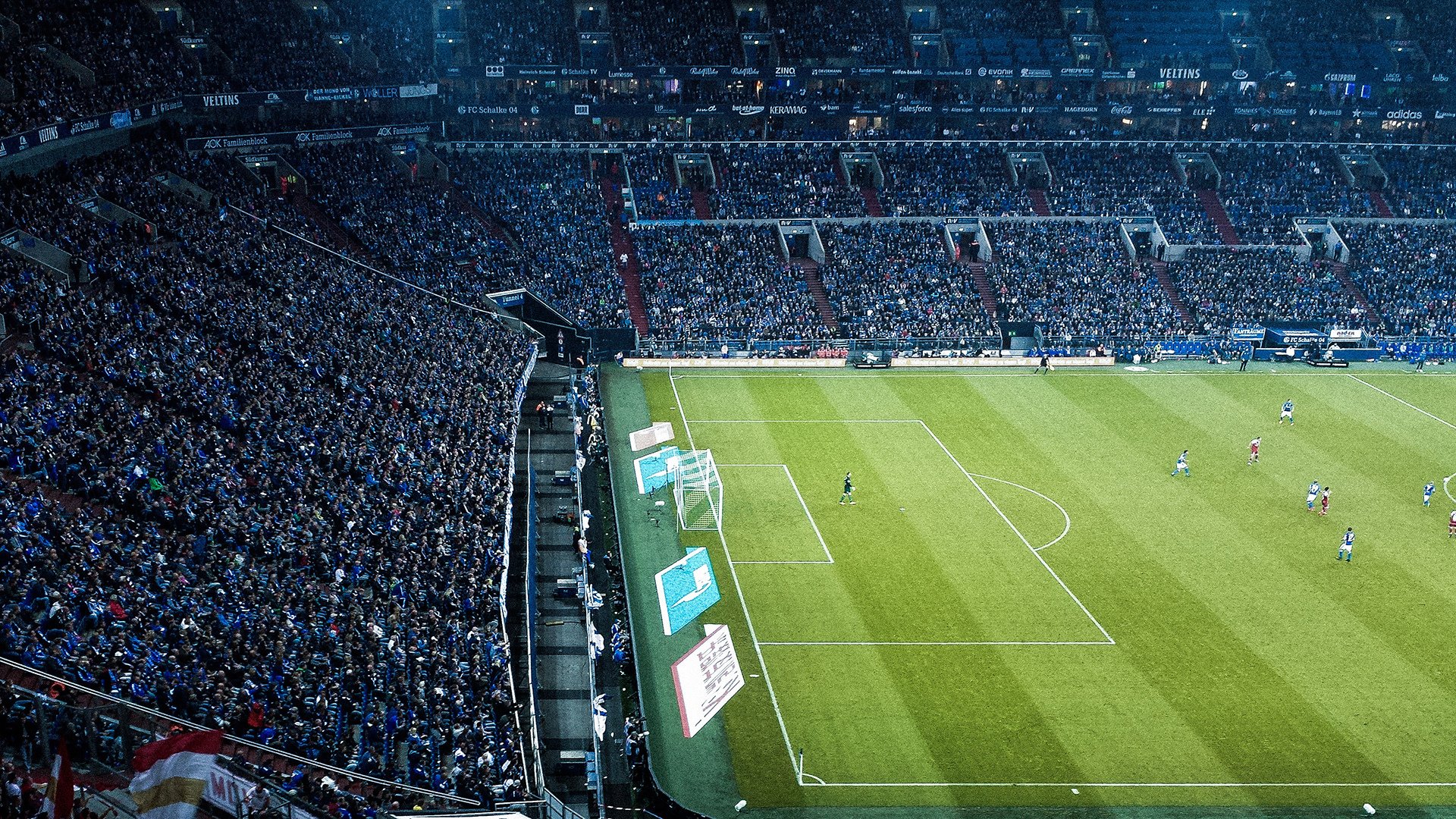 开云体育链接-_环天跑：在天空中迎风奔跑_，什么时候给树木施肥