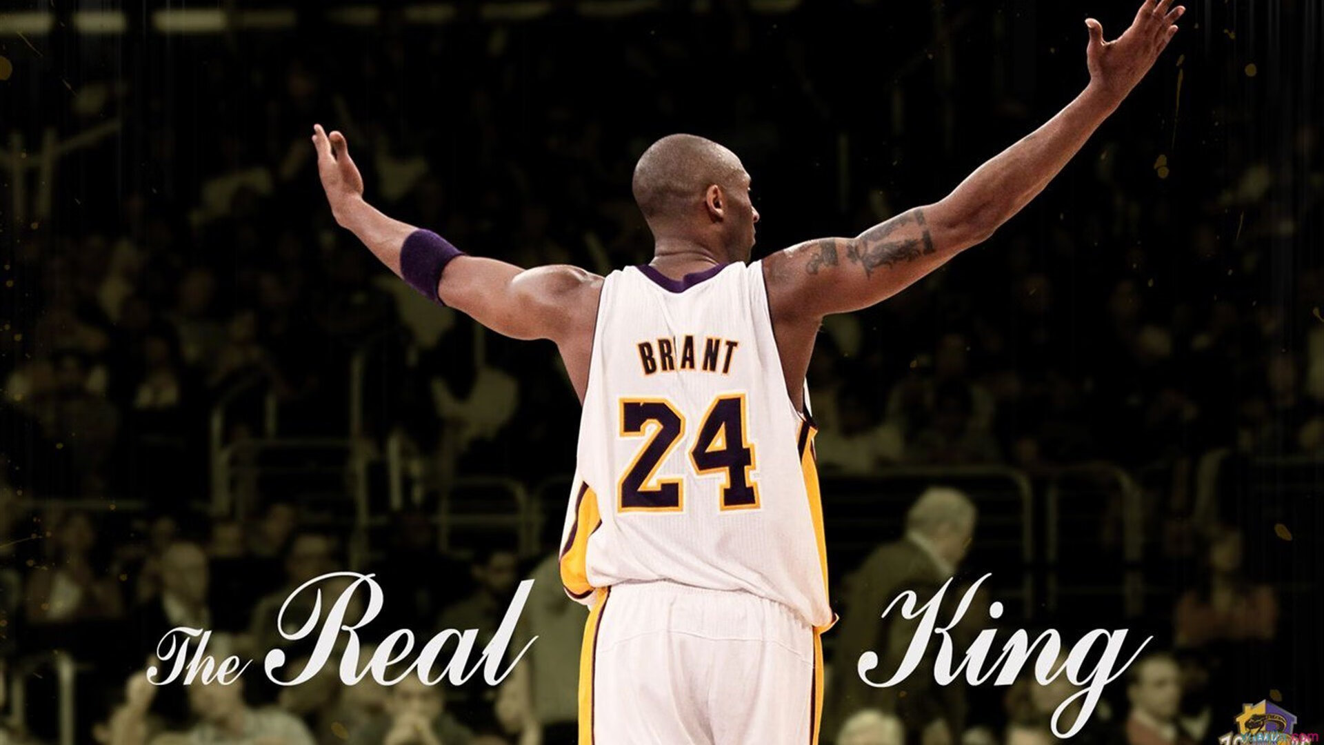 未来电竞的生态新格局：内容、硬件、平台多方共赢，电竞未来知乎